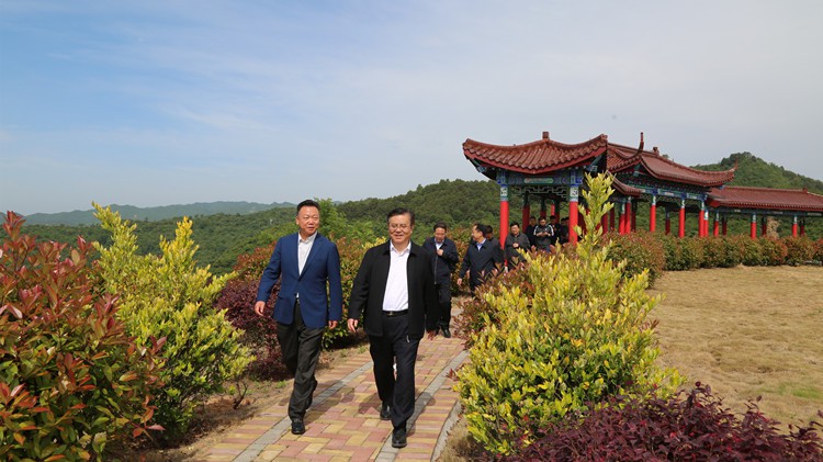 省人民檢察院黨組書記、檢察長朱玉調(diào)研金徽股份